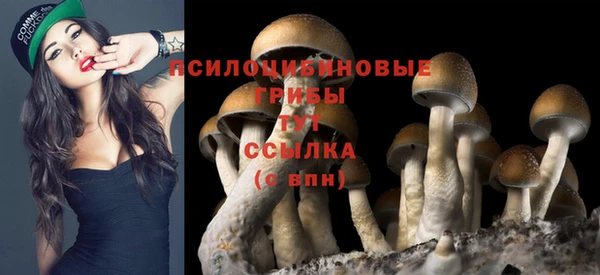 трава Балахна